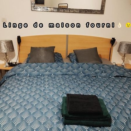 Appartement Avec Cour Plein Centre Foix Ngoại thất bức ảnh