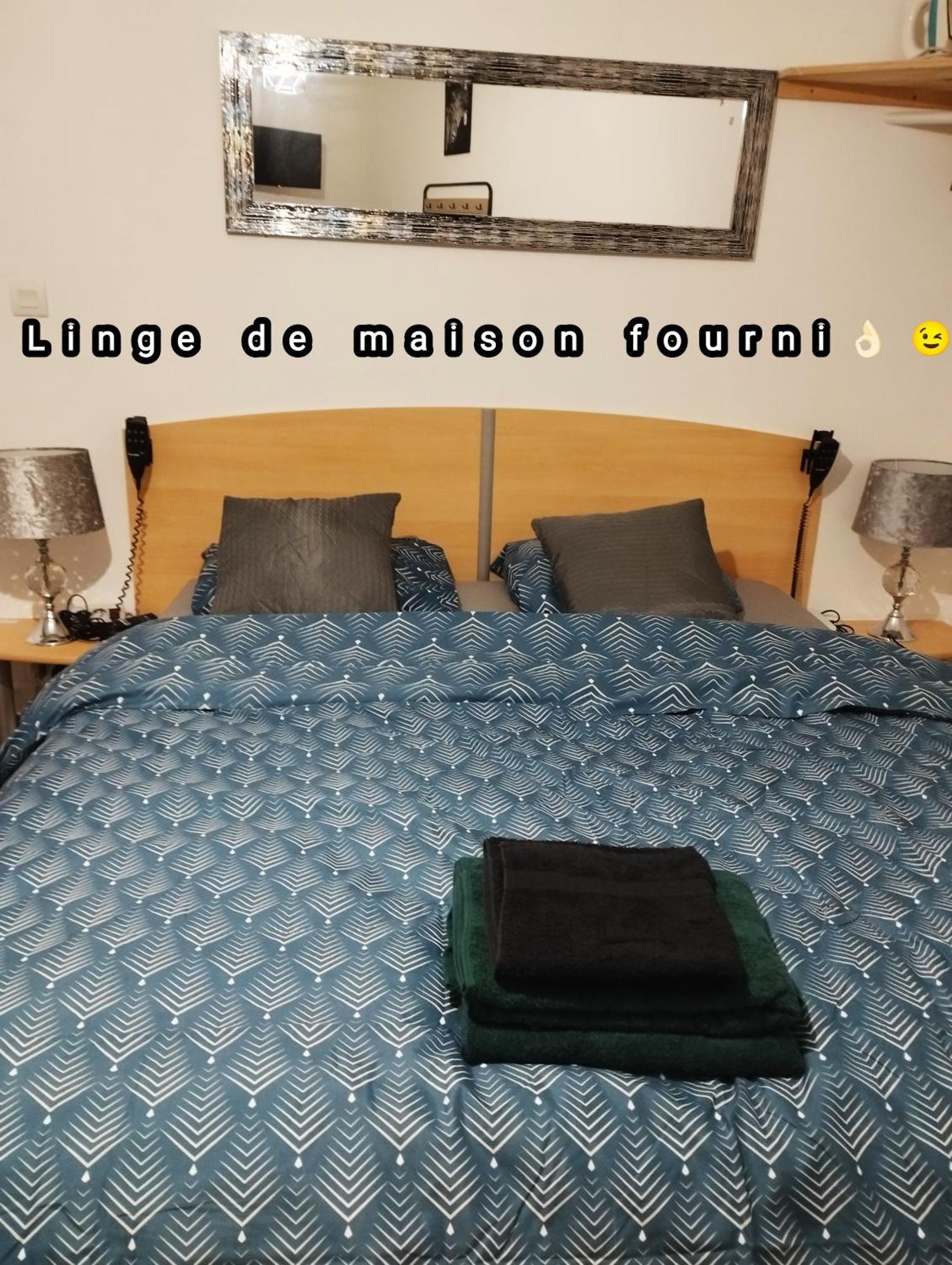 Appartement Avec Cour Plein Centre Foix Ngoại thất bức ảnh
